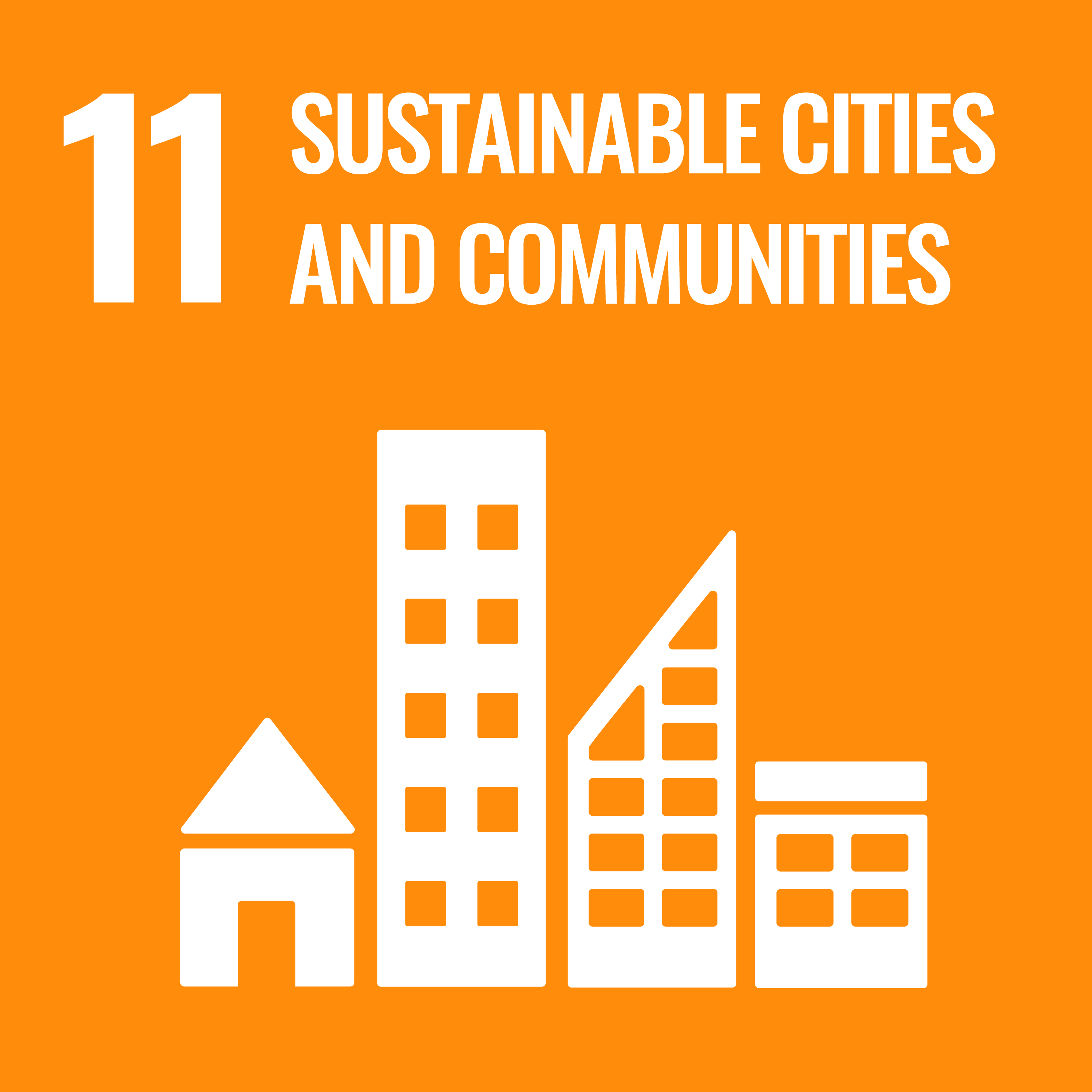 Sustainable Development Goal 11